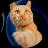 pagpatience147